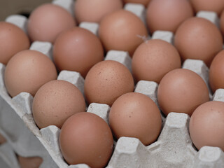 Eggs, source of protein