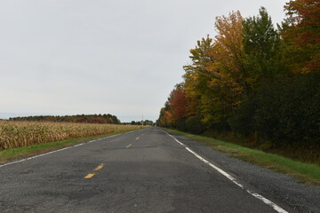 Fototapeta premium La Plaine 1 Octobre 2022