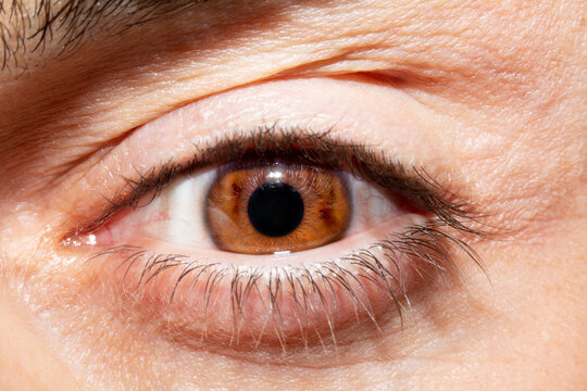 Image of man's brown eye close up. Insightful look.