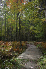 Fototapeta premium La Plaine 1 Octobre 2022