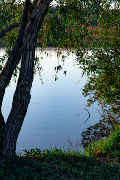Calm water surface, calm weather on the river, quiet rest by the lake in nature among trees and vegetation