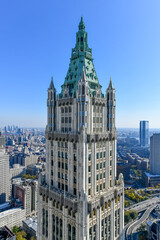Obraz premium Woolworth Building - New York City