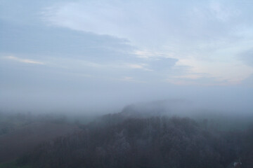 Scenic view over foggy forest