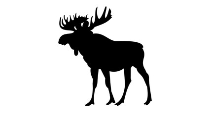 elk silhouette