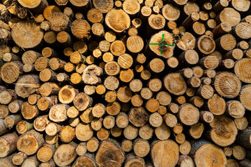 Log trunks pile, the logging timber forest wood industry. Sawn trees from the forest. Heavy wood...