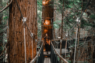 caucasian young man looking at camera walking along the walkway that joins the trunks of the large...