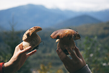 people hold in their hands large white mushrooms with thick legs against the background of snowy...