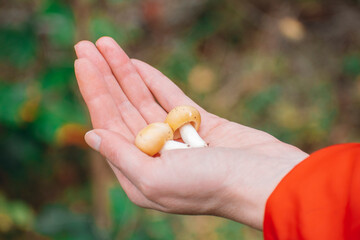 a woman holds two small mushrooms in her palm