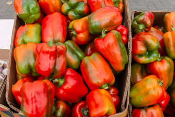 Red, green and yellow bell peppers in cardboard boxes on the counter. Selling bell peppers at the vegetable market.