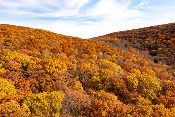 Obraz premium Peak Foliage - New Jersey