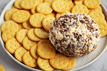 Homemade Cheese Ball with Cream Cheese and Green Onions on a Plate, side view.