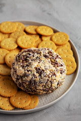 Homemade Cheese Ball with Cream Cheese and Green Onions on a Plate, low angle view.