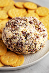 Homemade Cheese Ball with Cream Cheese and Green Onions on a Plate, low angle view.