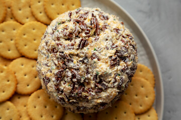 Homemade Cheese Ball with Cream Cheese and Green Onions on a Plate, top view. Flat lay, overhead, from above. Close-up.