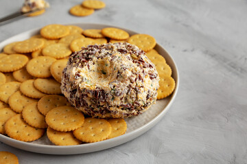 Homemade Cheese Ball with Cream Cheese and Green Onions on a Plate, side view. Copy space.