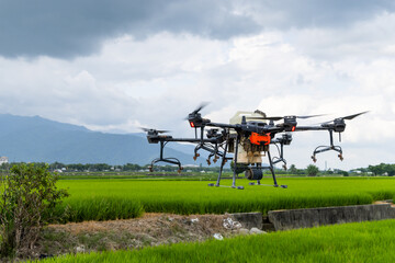 Agriculture drone farming fly to spray fertilizer on the rice fields