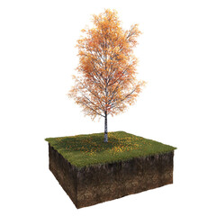 Autumn tree and soil cut under it. isolate on a transparent background, 3D illustration, cg render