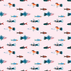 Watercolor pinkaquarium fishes seamless pattern illustration, colorful animal, sea, lake clipart, Nautical, ocean drawing, nursery hand-painted fish design, fabric,gift wrap,scrapbooking,wallpaper