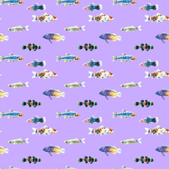 Watercolor lilac  aquarium fishes seamless pattern illustration, colorful animal, sea, lake clipart, Nautical, ocean drawing, nursery hand-painted fish design, fabric,gift wrap,scrapbooking,wallpaper