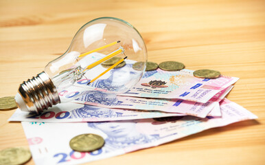 The concept of paying utility bills. The concept of electricity supply in Ukraine. A lamp and Ukrainian 200 hryvnia bills. Side view. Banner.