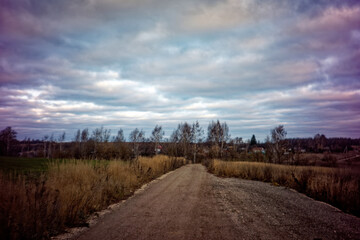 the bank of a small river in spring