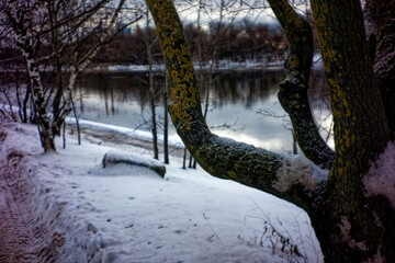 Fototapeta premium the bank of a small river in spring