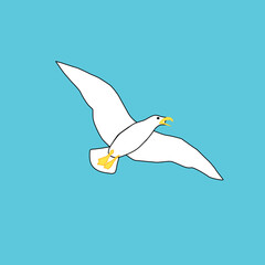 Seagull on the blue background