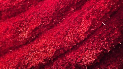 Fabric texture. Mat texture pattern. Threads texture. Upholstered texture. doily colors art background. carpet in the room. room carpet. rug