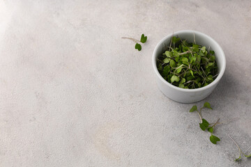 White bowl with fresh microgreens on light gray background
