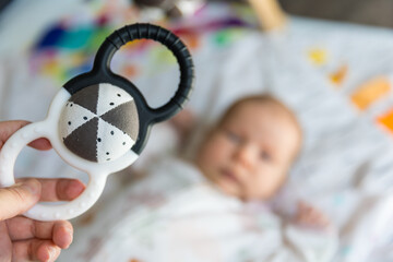 Parent holding a rattle toy