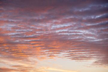 Stunning colorful sunset, blue sky, yellow purple cirrus clouds.
