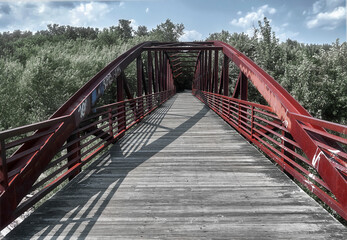 red bridge leading into the forest