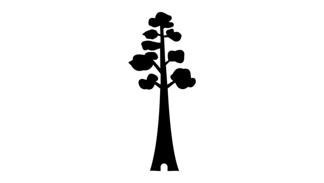 sequoia silhouette, created by omia