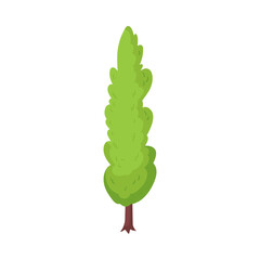Isometric Tree Illustration