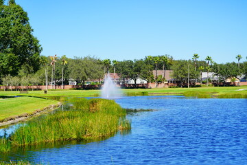 A beautiful  community pond or lake
