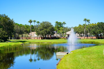 A beautiful  community pond or lake