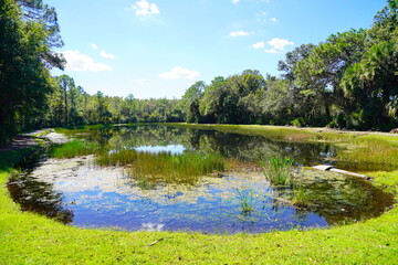 Obraz na płótnie Canvas A typical Florida community pond or lake