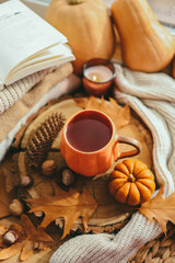 Obraz na płótnie Canvas A cup of tea in the shape of a pumpkin and autumn decor on the windowsill, aesthetic photo.