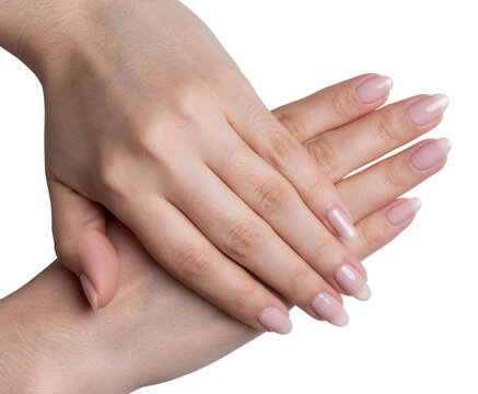 Pretty woman hands with settle manicure