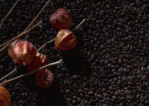 Fesalis branches on the background of coffee beans