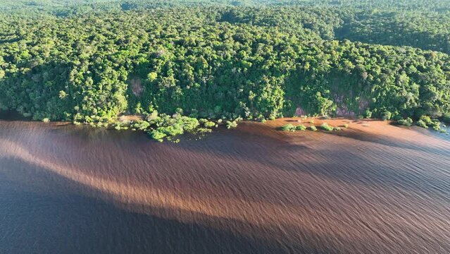 Amazonian Forest At Manaus Amazonas Brazil. Idyllic Background Summer. Eco Idyllic. Bush Aerial Landscape Tourist. Amazon Outdoors Natural. Manaus Amazonas Forest Trees