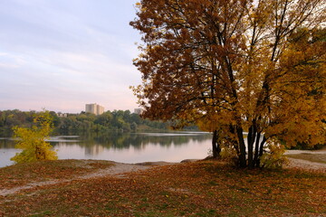 Obraz na płótnie Canvas Autumn fall in park with yellow leaves trees and lake