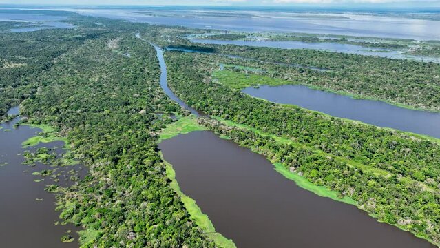 Amazonian Forest At Manaus Amazonas Brazil. Amazon Amazon River Wide. Wallpaper Amazon Vacations Biodiversity Water Sunlight. Outdoors Amazon Sunlight. Manaus Amazonas Riverfront