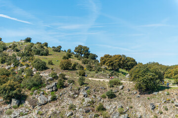 CAMPOS PRIMAVERA CASTILLA