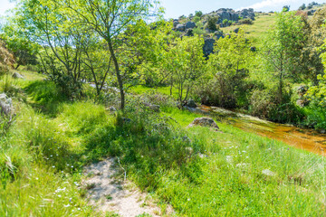 CAMPOS PRIMAVERA CASTILLA