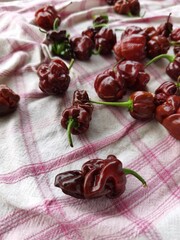pile of spicy habanero peppers