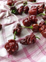 pile of spicy habanero peppers