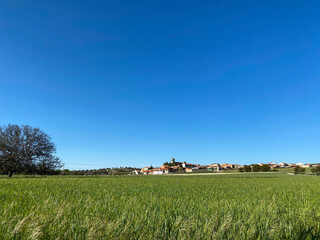 Fototapeta premium MALPARTIDA SALAMANCA PRIMAVERA