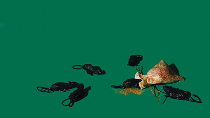 Black mice and bag with gold dust on an attractive green background