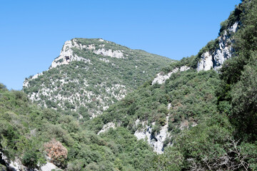 Fototapeta na wymiar Paisaje de montaña